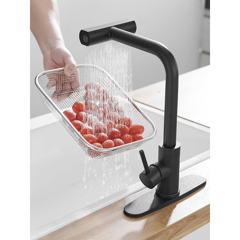 Keran Dapur Tarik Turun dengan - Commercial Kitchen Sprayer ulasan dan harga