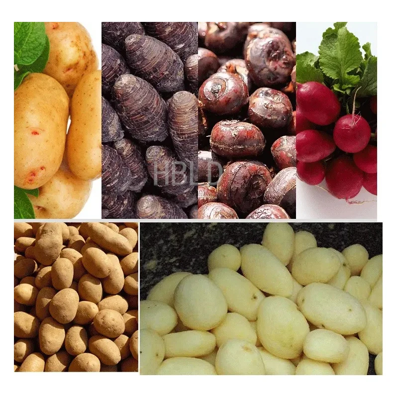 Pengupas Kentang Komersial HBL - Commercial Potato Peeler ulasan dan harga
